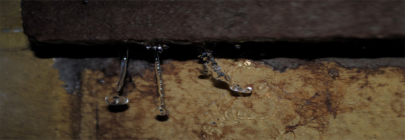 Causes Leaks Causes Leaks